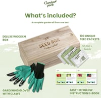 Garden Pack Vegyes Virágmag Készlet 100 Különböző Fajta - Egész Éves Virágzás Kertészeti Maggyűjtemény 2