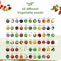 Garden Pack Vegyes Virágmag Készlet 100 Különböző Fajta - Egész Éves Virágzás Kertészeti Maggyűjtemény 3