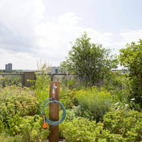 Gardena City Gardening spiralno crijevo 7,5 m – s integriranim nosačem, promjer 9 mm, s originalnim Gardena sistemskim elementima i nastavkom za zalijevanje (18411-20) 4