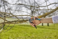 Gardena ExpertCut metszőolló gyümölcsfákhoz, 22 mm vágási átmérő, rozsdamentes acél pengék, bypass vágási rendszer 7
