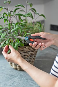 Gardena FreshCut 12212-36 Škare za berbu od nehrđajućeg čelika za začinsko bilje, bobičasto voće i rezano cvijeće, oštrica 47 mm, sa sigurnosnim poklopcem i naljepnicama za začine 5