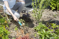 Gardena vadilica za korov – s ergonomskom ručkom, kvalitetan čelik, otporna na koroziju, radna duljina 14,5 cm (8935-20) 4