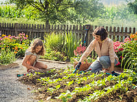 Gardena kézi ásó, standard méret, kertészeti szerszám - Flower trowel 6