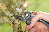 Gardena škare za orezivanje s nakovnjem - snažne vrtne škare za drvenaste grane, promjer rezanja 23 mm, s protukliznom ručkom, crne 2