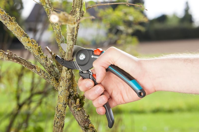 Gardena Metszőolló Üllős Vágóéllel - Erős Kerti Olló Fás Ágakhoz 23mm Vágási Átmérő Csúszásmentes Nyéllel Fekete