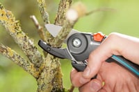 Gardena Metszőolló Üllős Vágóéllel - Erős Kerti Olló Fás Ágakhoz 23mm Vágási Átmérő Csúszásmentes Nyéllel Fekete 2