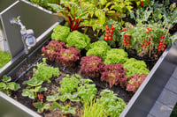 Zavlažovací systém Gardena Micro-Drip pre vyvýšené záhony/záhony (35 rastlín) – štartovacia súprava, úspora vody, pripravené na okamžité použitie (13455-20) 6