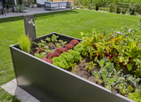 Zavlažovací systém Gardena Micro-Drip pre vyvýšené záhony/záhony (35 rastlín) – štartovacia súprava, úspora vody, pripravené na okamžité použitie (13455-20) 5
