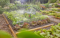 Gardena Micro-Drip-System sustav za navodnjavanje kap po kap za povrtnjake/cvjetnjake (40 m²) – početni set, štedi vodu, jednostavno spajanje (1348) 4