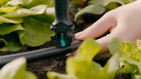 Gardena Micro-Drip-System sustav za navodnjavanje kap po kap za povrtnjake/cvjetnjake (40 m²) – početni set, štedi vodu, jednostavno spajanje (1348) 8