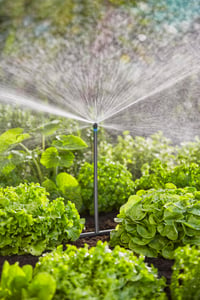 Gardena Micro-Drip-System sustav za navodnjavanje kap po kap za povrtnjake/cvjetnjake (40 m²) – početni set, štedi vodu, jednostavno spajanje (1348) 6