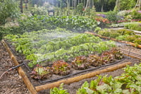 Gardena Micro-Drip-System sustav za navodnjavanje kap po kap za povrtnjake/cvjetnjake (40 m²) – početni set, štedi vodu, jednostavno spajanje (1348) 3