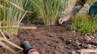 Set de pornire Gardena Micro-Drip-System pentru plante în rând S – Sistem de irigare prin picurare pentru economisirea apei (13010-20) 6