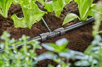 Gardena Micro-Drip System T-spojnica s redukcijom – s cijevi od 13 mm na cijev od 4,6 mm, Quick & Easy spajanje, višekratna upotreba (13204-20) 3
