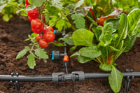 Gardena Micro-Drip System T-spojnica s redukcijom – s cijevi od 13 mm na cijev od 4,6 mm, Quick & Easy spajanje, višekratna upotreba (13204-20) 6