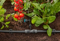 Gardena Micro-Drip System T-spojnica s redukcijom – s cijevi od 13 mm na cijev od 4,6 mm, Quick & Easy spajanje, višekratna upotreba (13204-20) 5