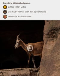 GardePro A5 Fotopasca 48MP 1296P H.264 Video s nočným videním a pohybovým senzorom na sledovanie zveri 3