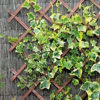 Gardman Barna Spalié 1,8 x 0,3 m Kerthez - 1.8 x 0.3 m, tan 2