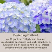 Gärtner's Hortensienblau Sredstvo za plavu boju hortenzija 1 kg - za plave cvjetove hortenzija, bojenje i očuvanje boje 3