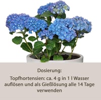 Gärtner's Hortensienblau Sredstvo za plavu boju hortenzija 1 kg - za plave cvjetove hortenzija, bojenje i očuvanje boje 4