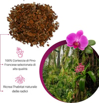 GebEarth Orchidea Talaj 5L Professzionális Orchidea Szubsztrát Összes Fajtához 2