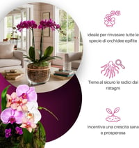 GebEarth Orchidea Talaj 5L Professzionális Orchidea Szubsztrát Összes Fajtához 3