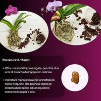 GebEarth Orchidea Talaj 5L Professzionális Orchidea Szubsztrát Összes Fajtához 4