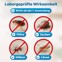 Gerobug Sprej proti blchám na byt a okolie 500 ml s okamžitým účinkom – Účinný prostriedok proti blchám u psov a mačiek – Silná alternatíva k dymovniciam proti blchám 3