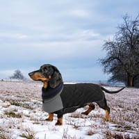 Geyecete Tacskó Téli Kutyakabát Meleg Steppelt Fekete L-es Szélálló 6