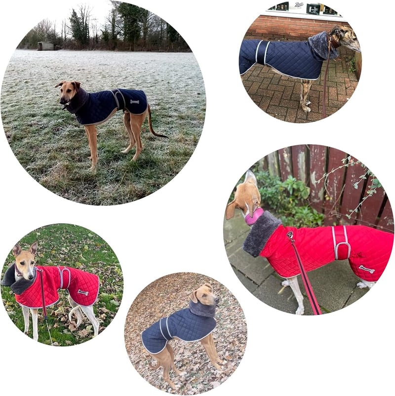 Geyecete téli kutyakabát fleece béléssel, vízálló, szélálló, piros XS