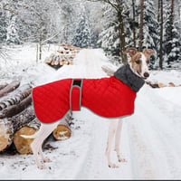 Geyecete téli kutyakabát fleece béléssel, vízálló, szélálló, piros XS 5