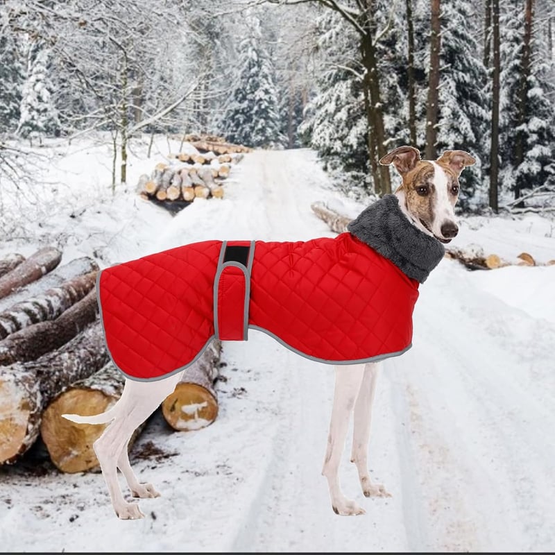 Geyecete téli kutyakabát fleece béléssel, vízálló, szélálló, piros XS