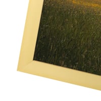 Giftgarden Zlatni Aluminijski Okvir za Slike 50x70 cm, Zidni Okvir za Fotografije, Postere i Puzzle, Dekoracija za Dnevni Boravak i Spavaću Sobu 6