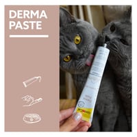 Pastă pentru pisici GimCat Expert Line Derma Paste - Susținerea sănătății pielii și a blănii - 1 tub (50 g) 6
