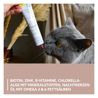 Pastă pentru pisici GimCat Expert Line Derma Paste - Susținerea sănătății pielii și a blănii - 1 tub (50 g) 4