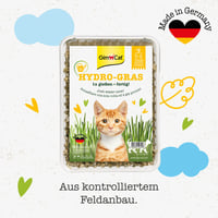 Iarbă pentru pisici GimCat Hydro Grass – semințe de iarbă proaspătă în sol controlat, gata în 5-8 zile – 1 tavă (150 g) 3