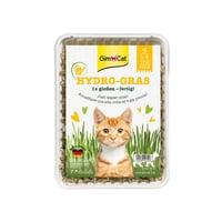 Iarbă pentru pisici GimCat Hydro Grass – semințe de iarbă proaspătă în sol controlat, gata în 5-8 zile – 1 tavă (150 g) 1