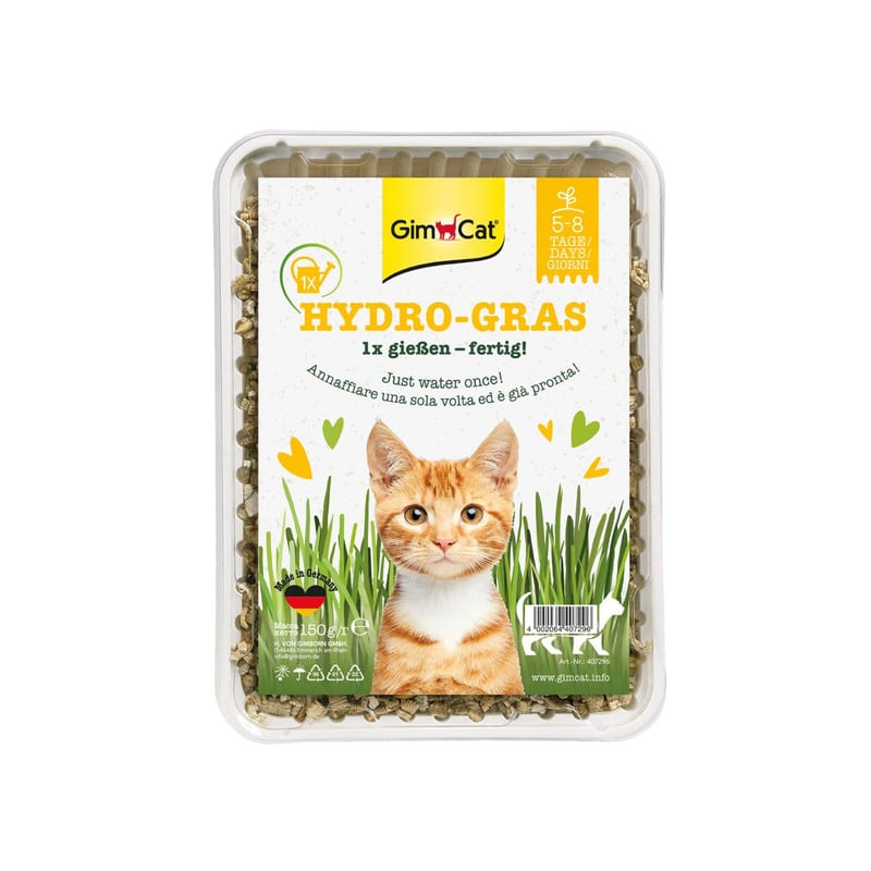 Iarbă pentru pisici GimCat Hydro Grass – semințe de iarbă proaspătă în sol controlat, gata în 5-8 zile – 1 tavă (150 g)