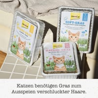 Iarbă pentru pisici GimCat Hydro Grass – semințe de iarbă proaspătă în sol controlat, gata în 5-8 zile – 1 tavă (150 g) 6
