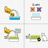 Iarbă pentru pisici GimCat Hydro Grass – semințe de iarbă proaspătă în sol controlat, gata în 5-8 zile – 1 tavă (150 g) 5