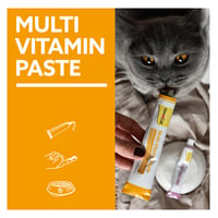Pastă multivitaminică GimCat pentru pisici – Recompensă sănătoasă pentru întărirea sistemului imunitar – 1 tub (200 g) 5