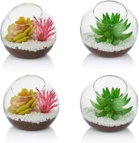 Glasseam 10cm Mini Üveg Terrarium Szett 4db Asztali Dekoráció Szukkulens Kaktusz 1