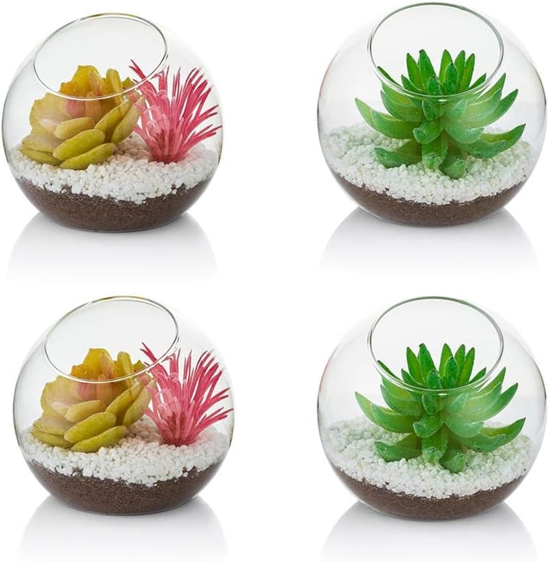 Glasseam 10cm Mini Üveg Terrarium Szett 4db Asztali Dekoráció Szukkulens Kaktusz