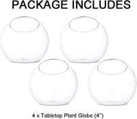 Glasseam 10cm Mini Üveg Terrarium Szett 4db Asztali Dekoráció Szukkulens Kaktusz 6