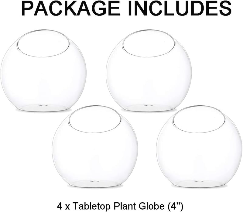 Glasseam 10cm Mini Üveg Terrarium Szett 4db Asztali Dekoráció Szukkulens Kaktusz