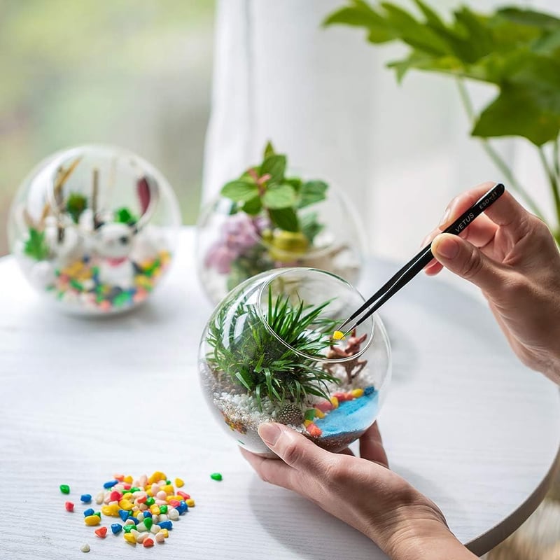 Glasseam 10cm Mini Üveg Terrarium Szett 4db Asztali Dekoráció Szukkulens Kaktusz