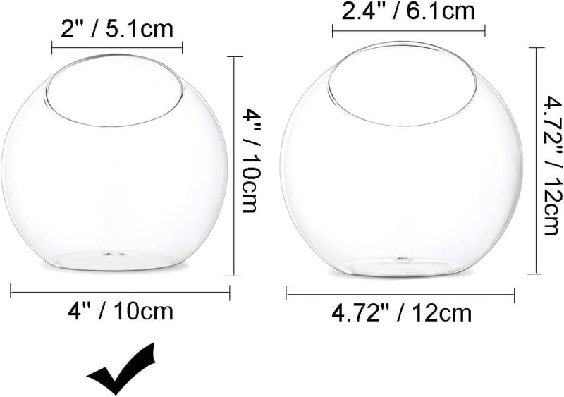 Glasseam 10cm Mini Üveg Terrarium Szett 4db Asztali Dekoráció Szukkulens Kaktusz