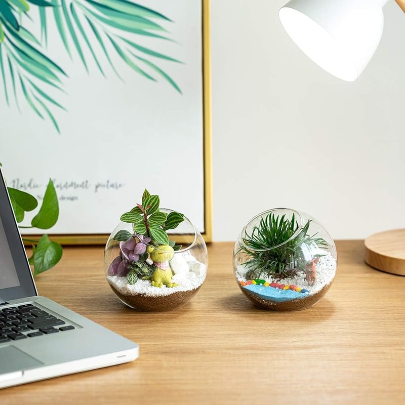 Glasseam 10cm Mini Üveg Terrarium Szett 4db Asztali Dekoráció Szukkulens Kaktusz