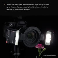 Godox MF12-K2 Makró Vaku Szett 2db TTL Vezeték Nélküli 2.4G Színes Szűrőkkel Portré Növény Ékszer Fotózáshoz 4