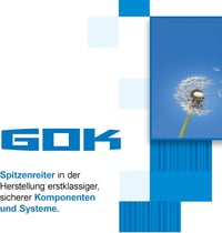 GOK 2-kimenetes gáznyomás-szabályozó 7